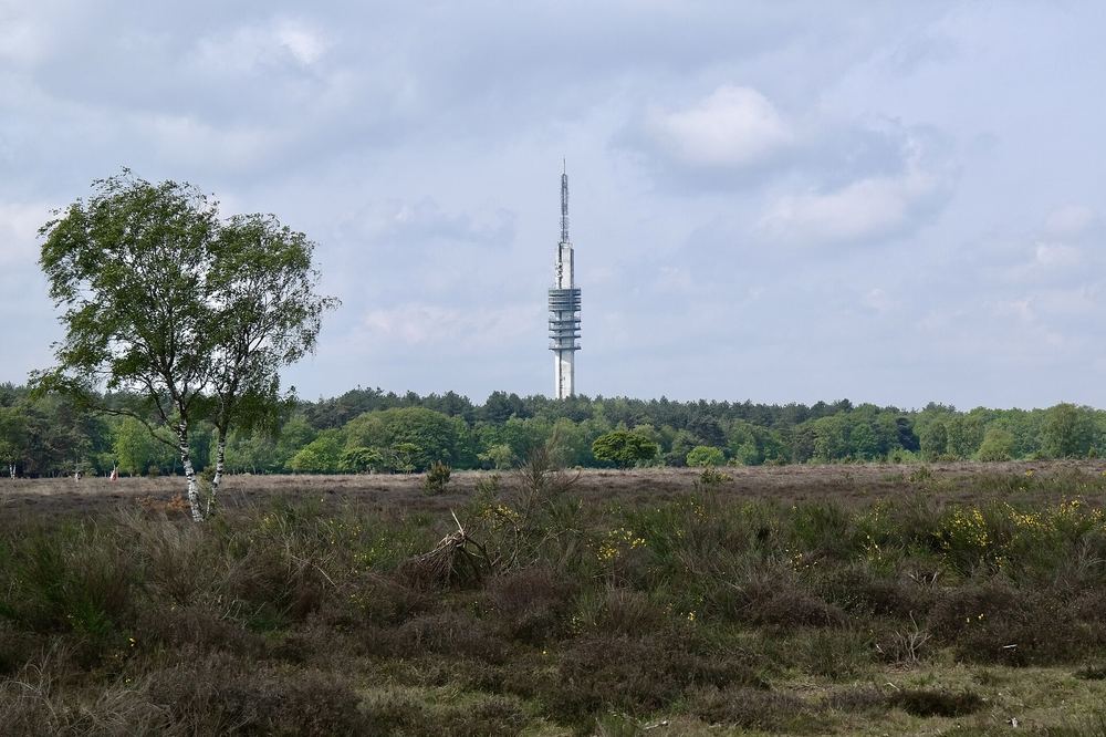 De Westerheide bij Hilversum met de televisietoren