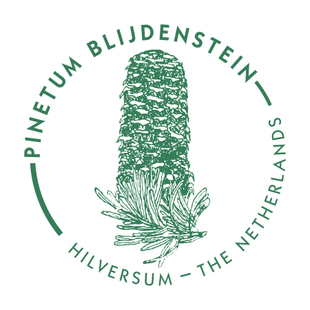 pinetum pageillustration logo