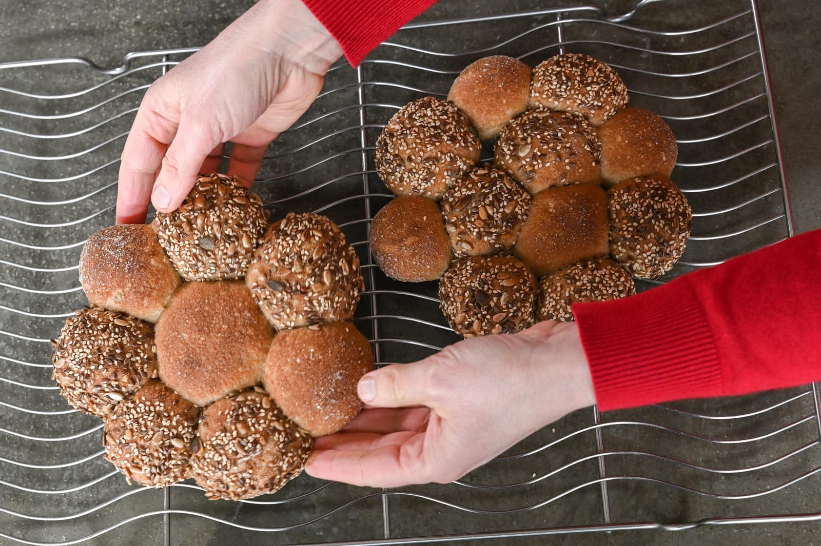Glutenvrij Gistbrood en Desembrood Glutenvrij Gistbrood En Desembrood 4