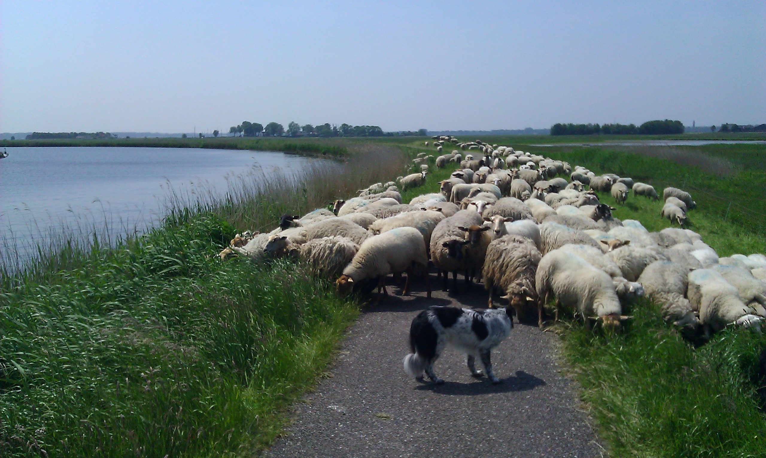 In het spoor van de Erfgooiers | Fietstocht In Het Spoor Van De Erfgooiers Fietstocht 4 Scaled