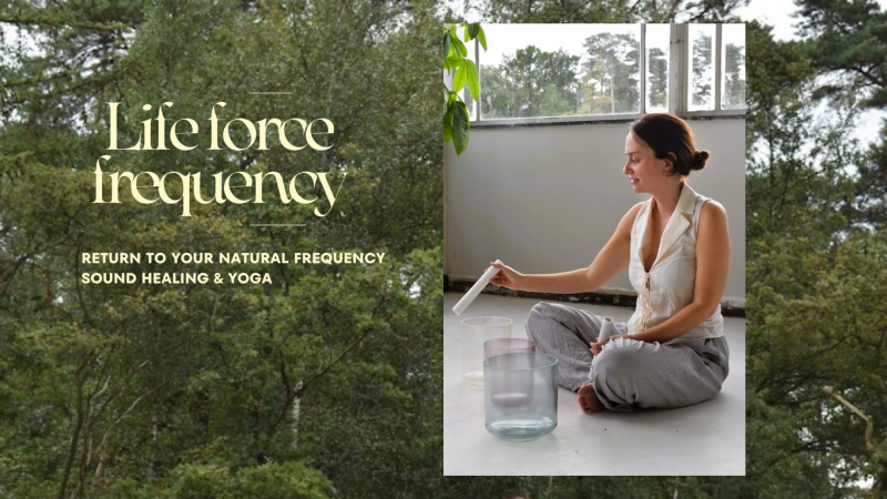 Mini-retreat: Boswandeling, zachte yoga & sound healing Mini Retreat Boswandeling Zachte Yoga Sound Healin 2