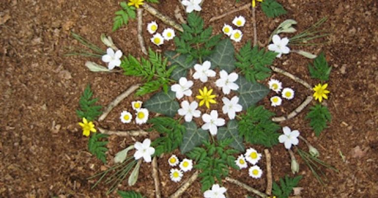 Natuurkunst van OERRR — Cultuur in Hilversum