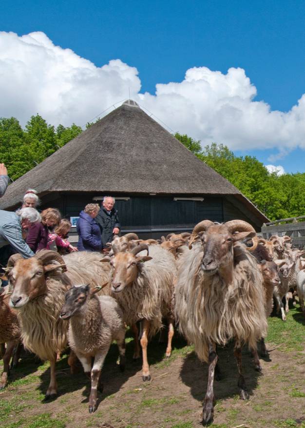Paddenpad voor gezinnen Paddenpad Voor Gezinnen 7