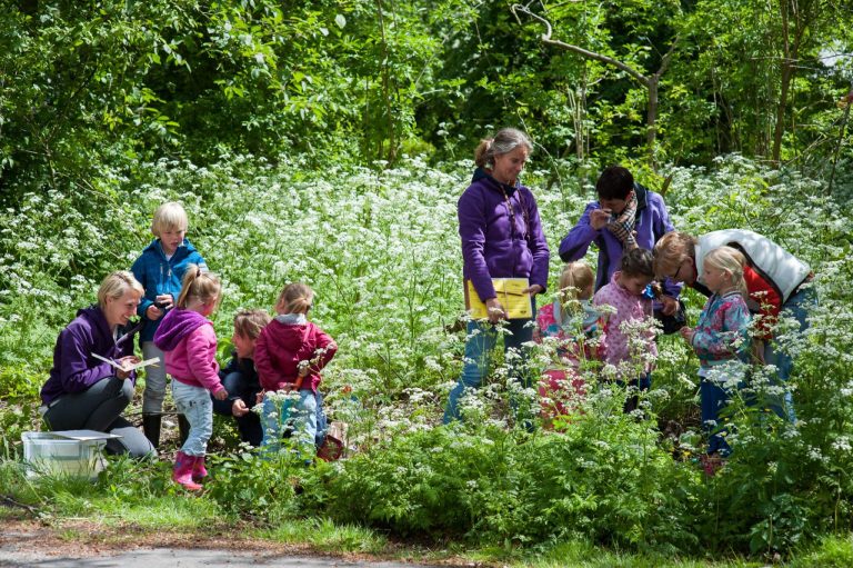 Publiekswandeling Laarder Wasmeer — Inclusief in Hilversum