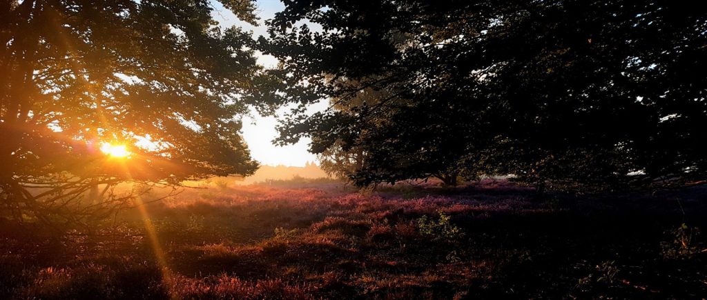 Yin & Nidra yoga in Hilversum