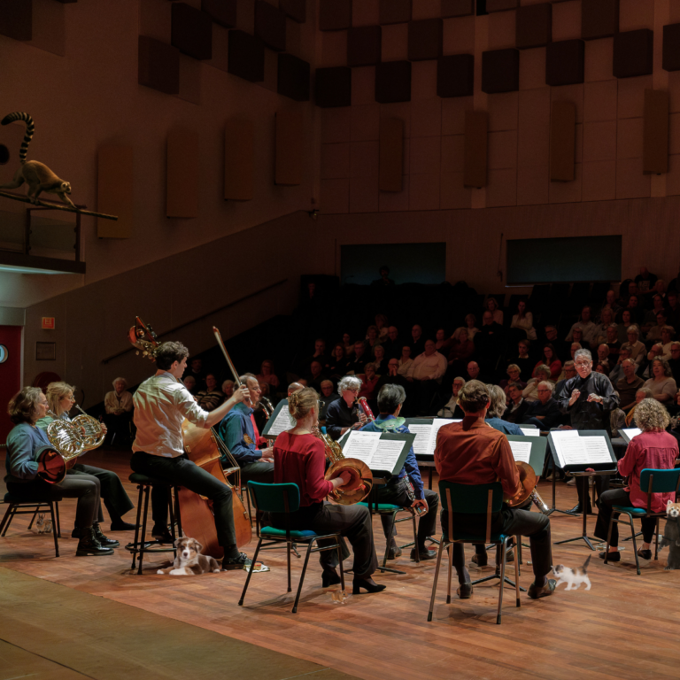 Heuvellaan Concert Dierendagconcert — Muziek in Hilversum