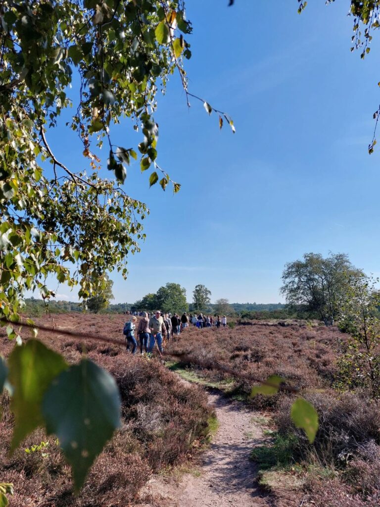 Heidewandeling Hilversum — Natuur in Hilversum