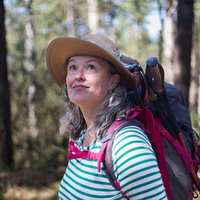 Cursus Creatief Schrijven met schrijfster Francine Postma — lezing in Hilversum