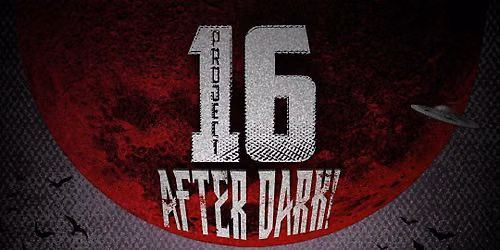 Project 16: After Dark! in Hilversum